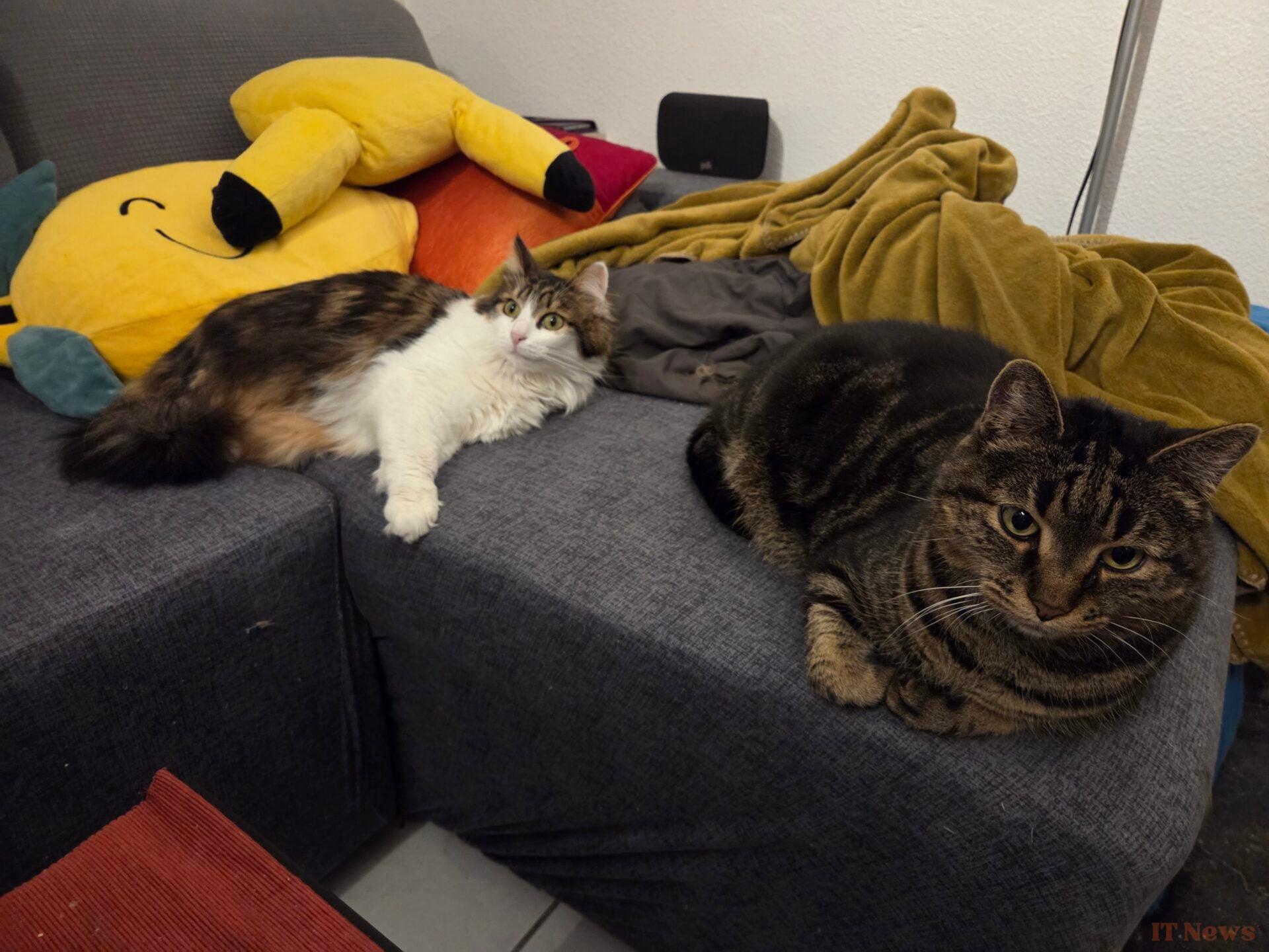 Samsung Galaxy S25 test: the latest who has everything of a big