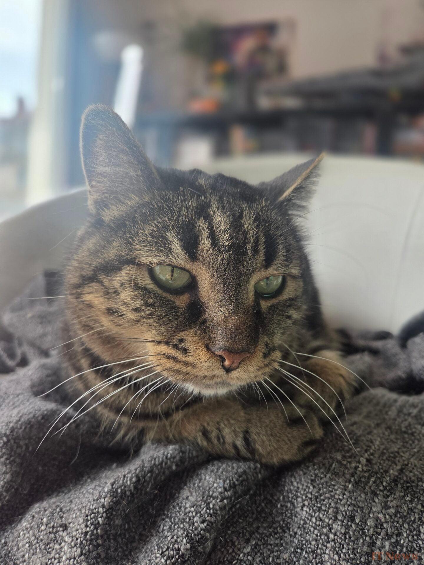 Samsung Galaxy S25 test: the latest who has everything of a big