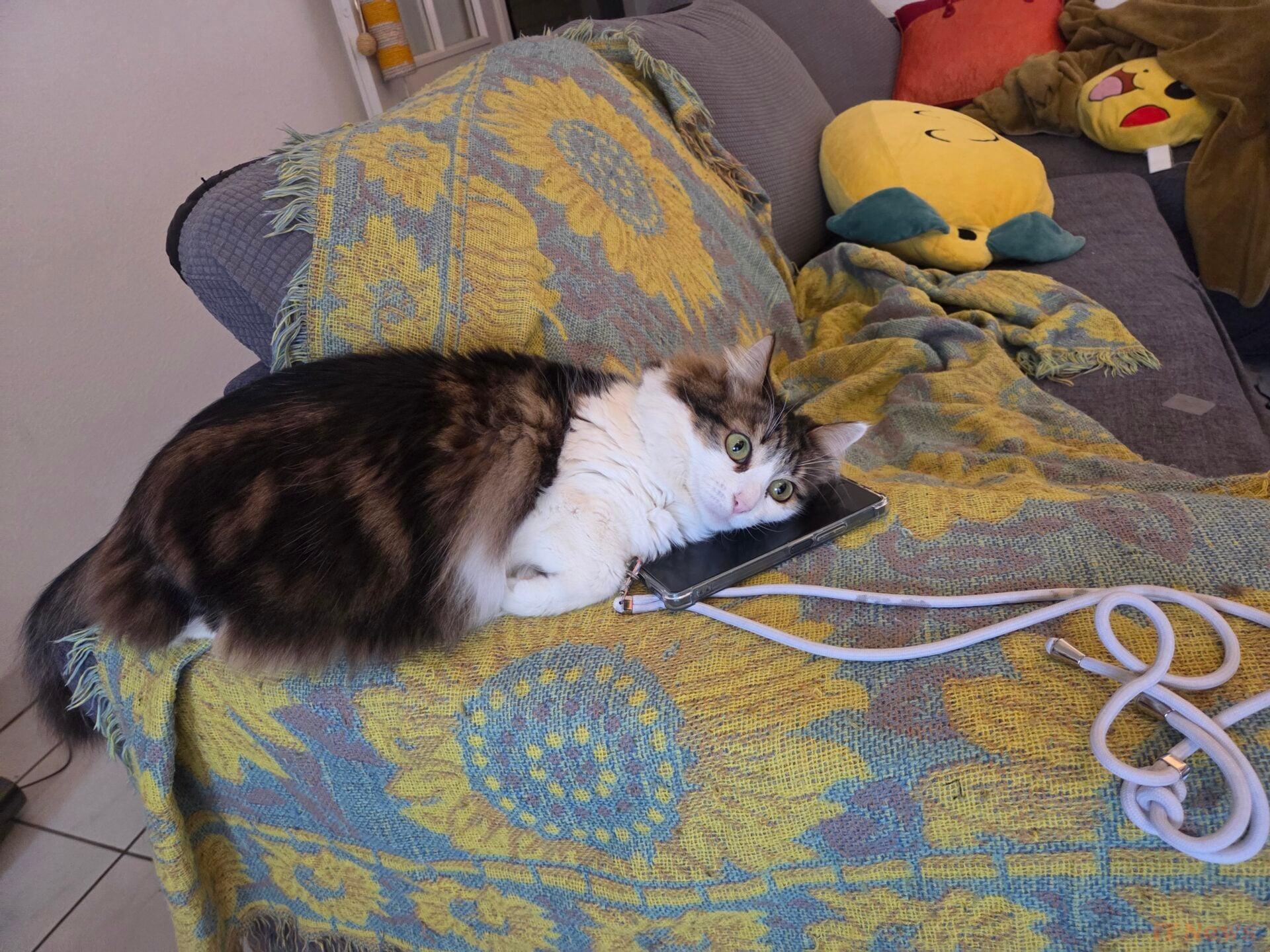 Samsung Galaxy S25 test: the latest who has everything of a big