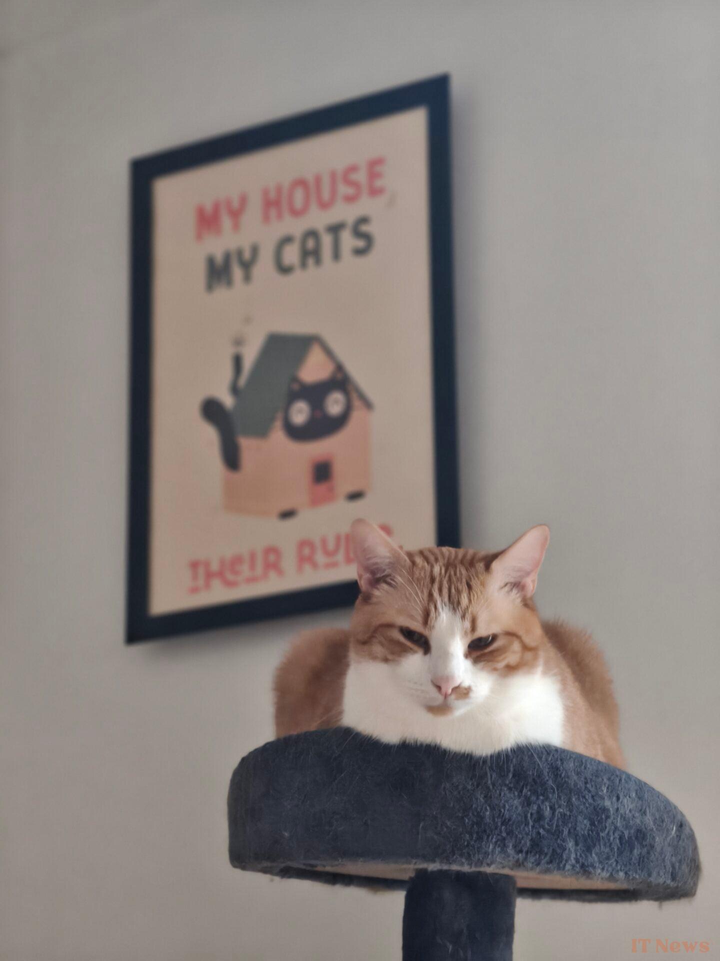 Oppo Find X8 Pro test: as good as an ultra galaxy S24, but much cheaper