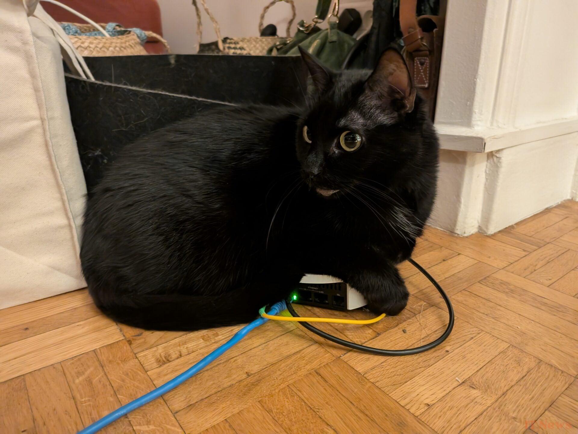 5 months with the Google Pixel 9 Pro Fold: I go back to a classic smartphone