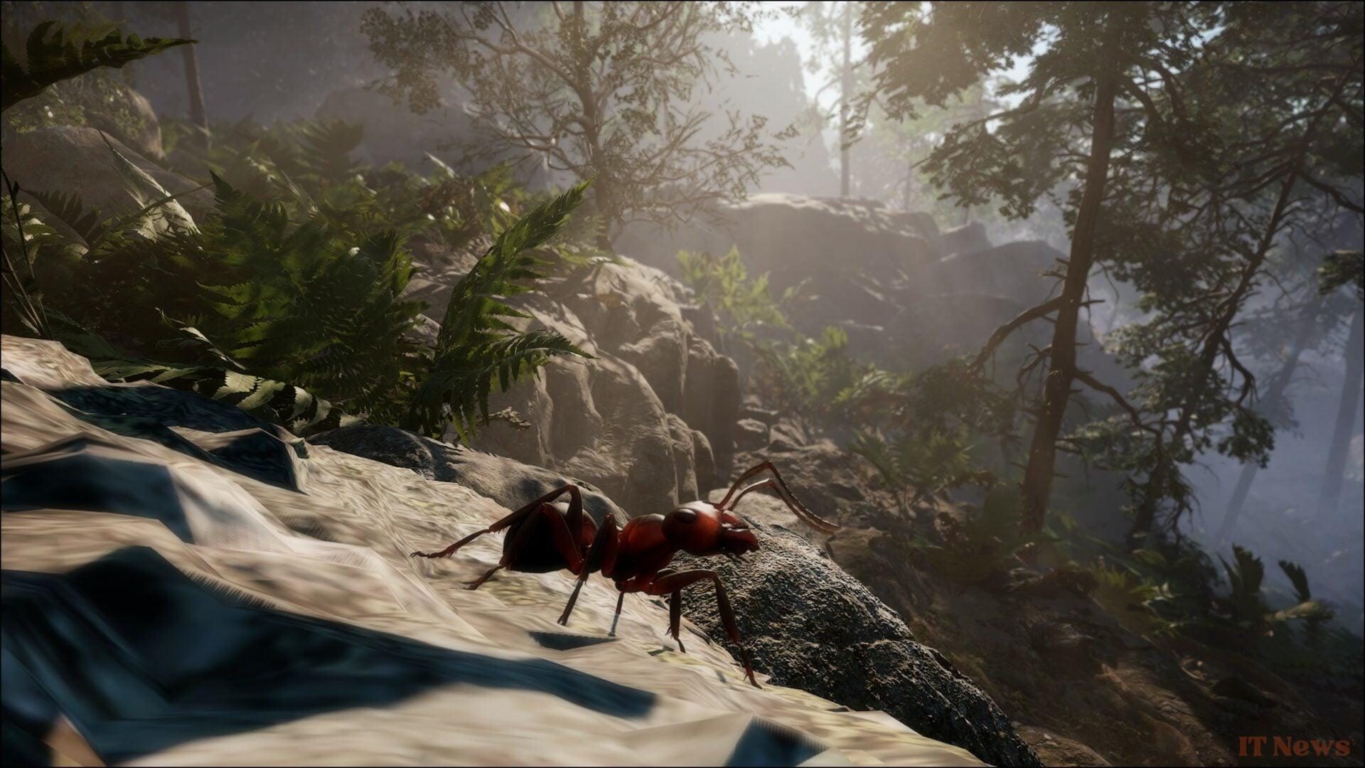 Preview Les Ants: Werber's novel deserved better