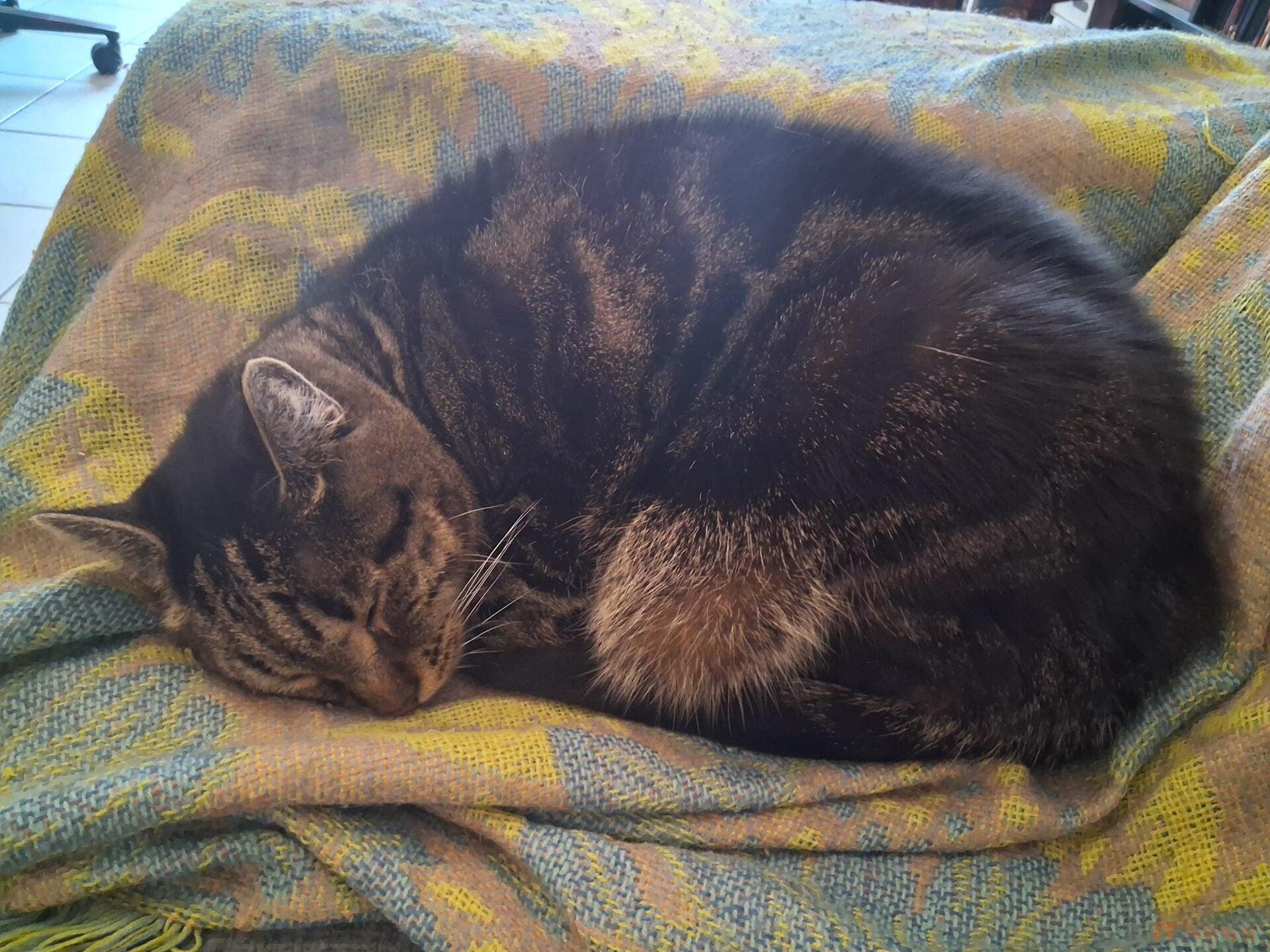 Galaxy A16 test: Is the cheap Samsung still a safe bet?