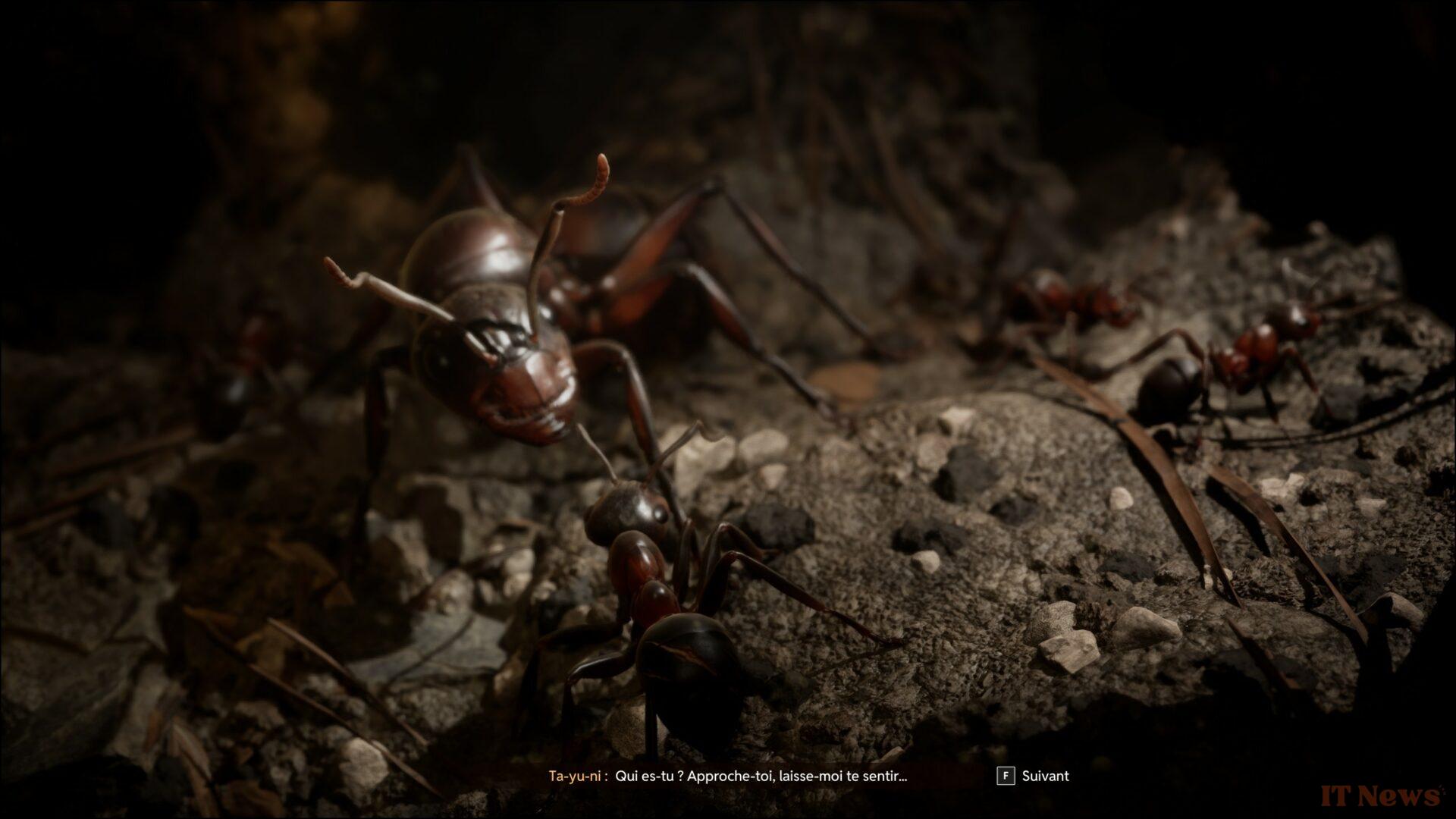 Preview Les Ants: Werber's novel deserved better