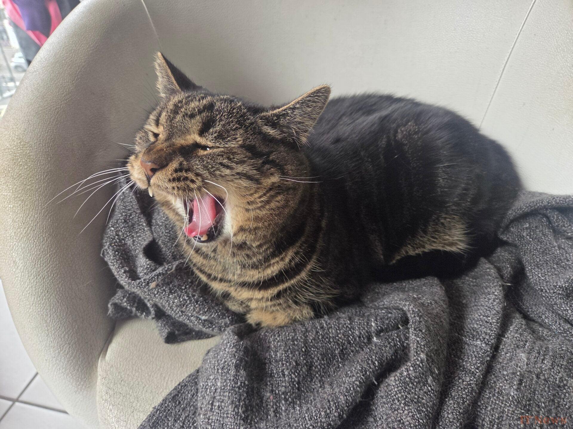 Samsung Galaxy S25 test: the latest who has everything of a big