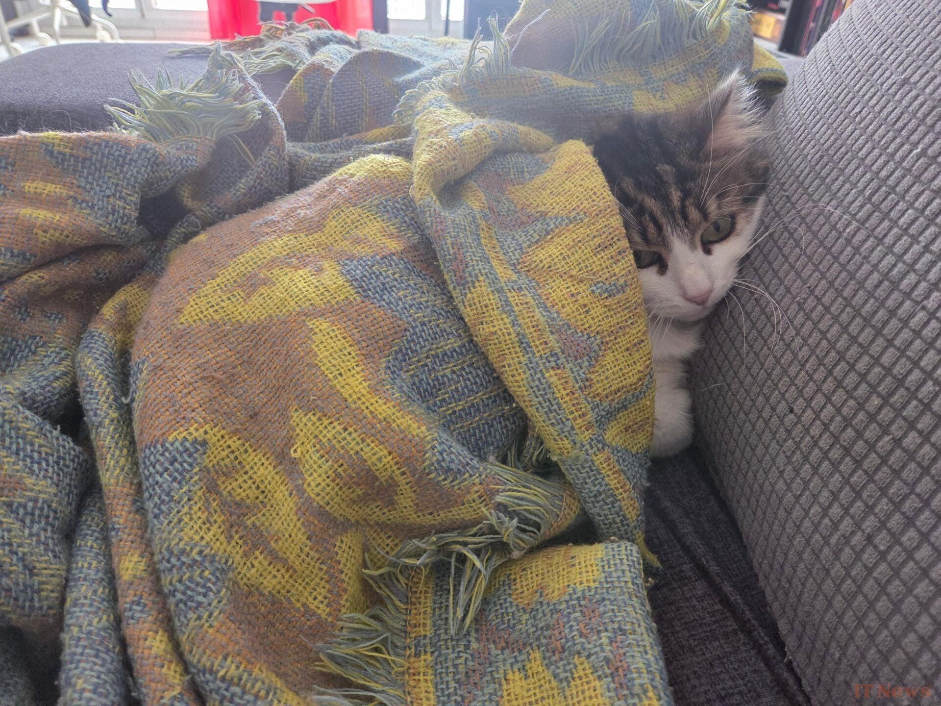 Samsung Galaxy S25 test: the latest who has everything of a big