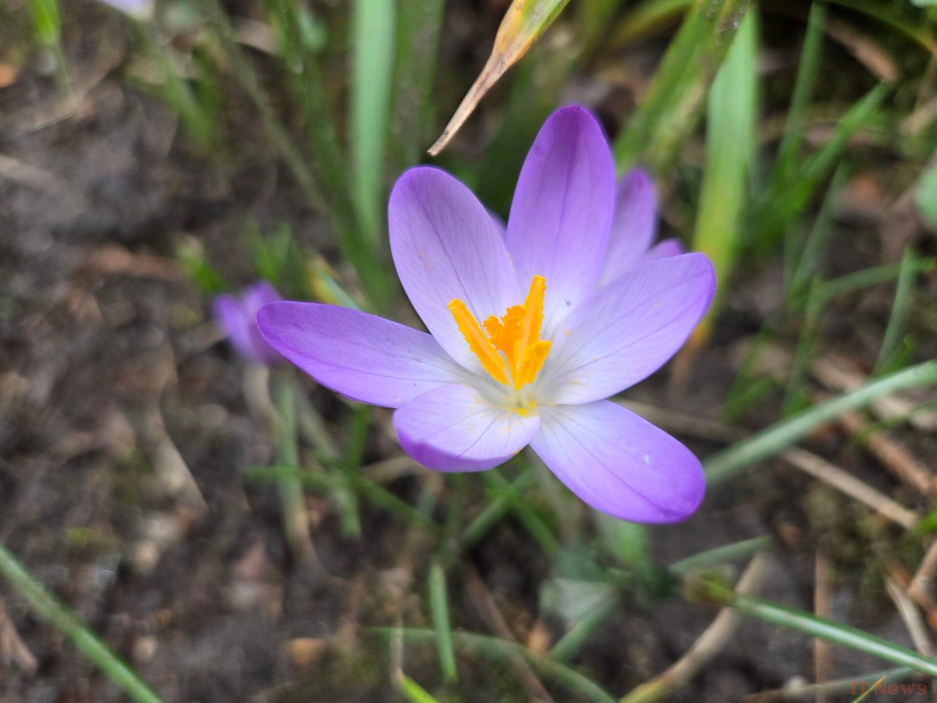 Test of the Samsung Galaxy S25 Plus: the perfect compromise?