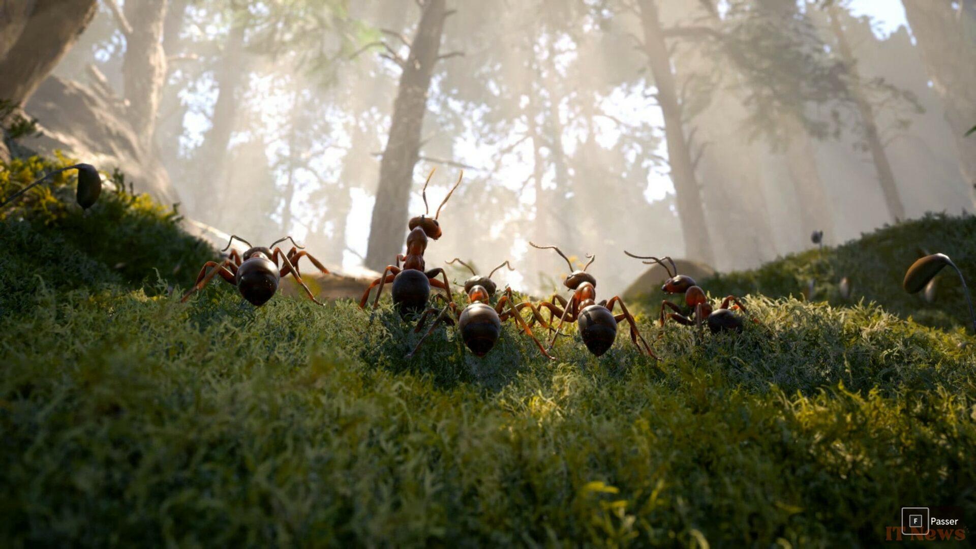 Preview Les Ants: Werber's novel deserved better