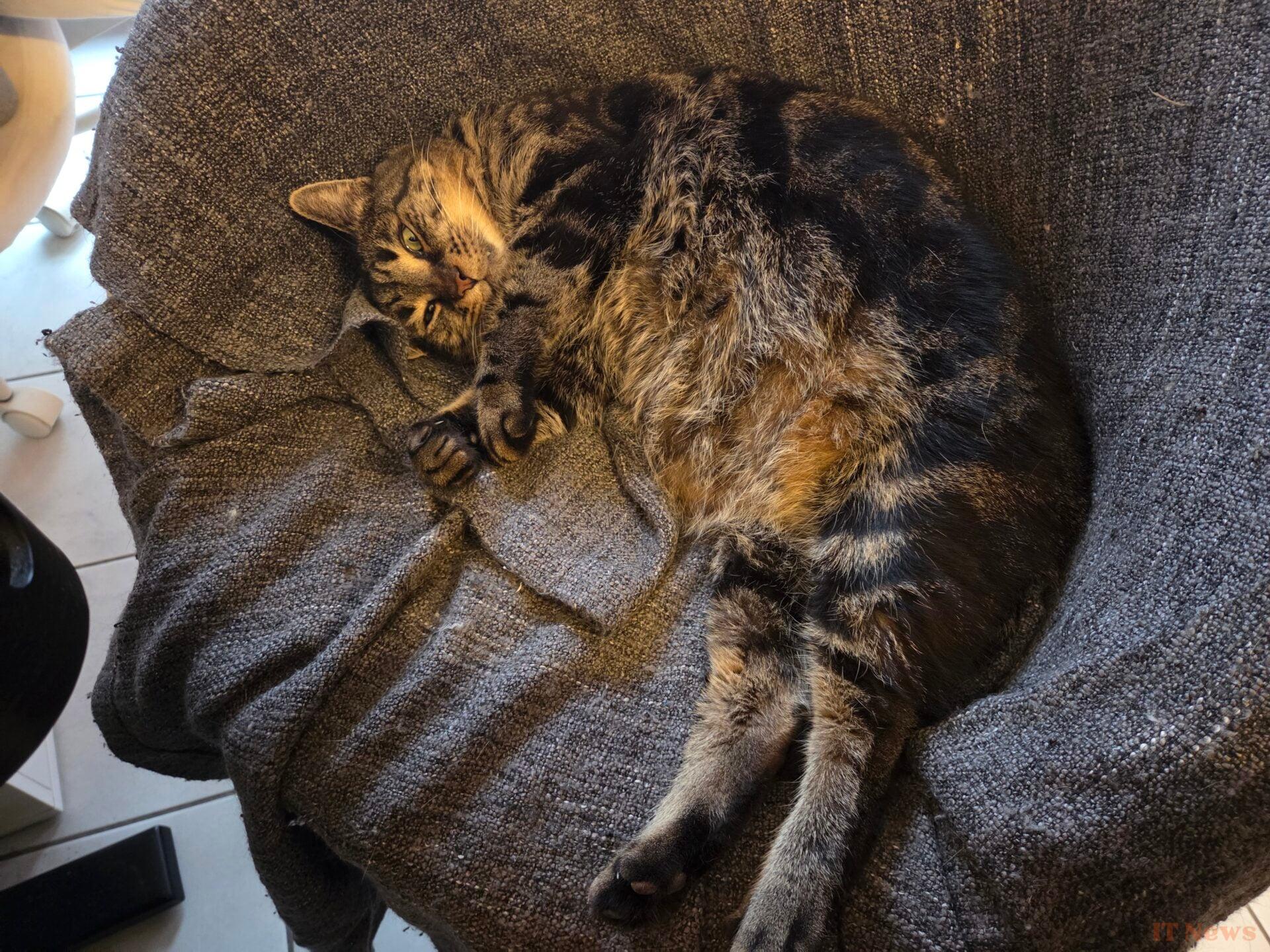 Samsung Galaxy S25 test: the latest who has everything of a big