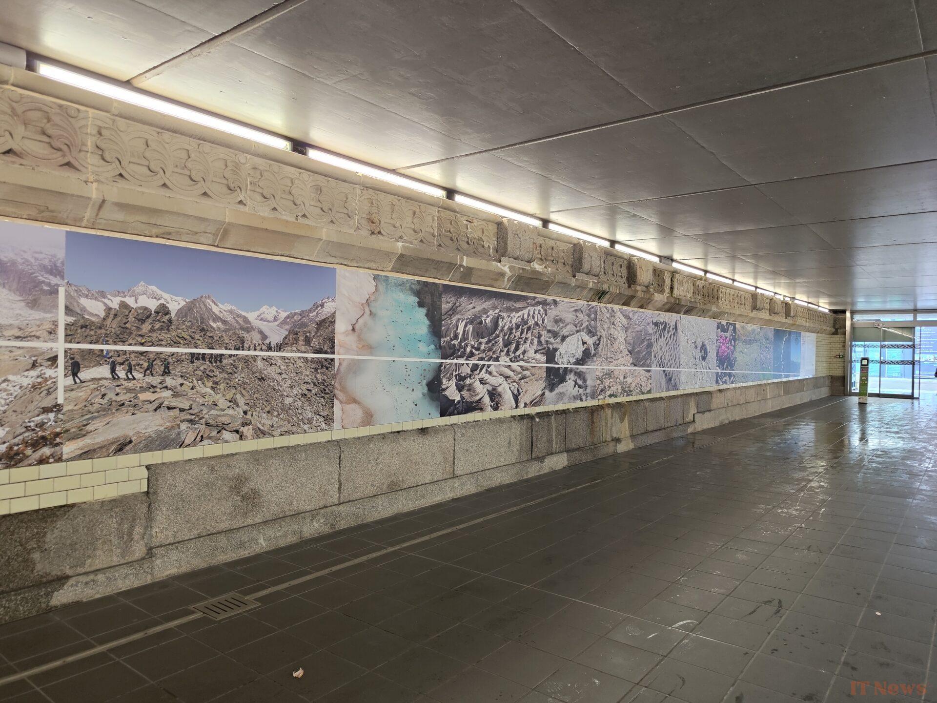 Test rog phone 9 pro: a beast for gaming, but not only