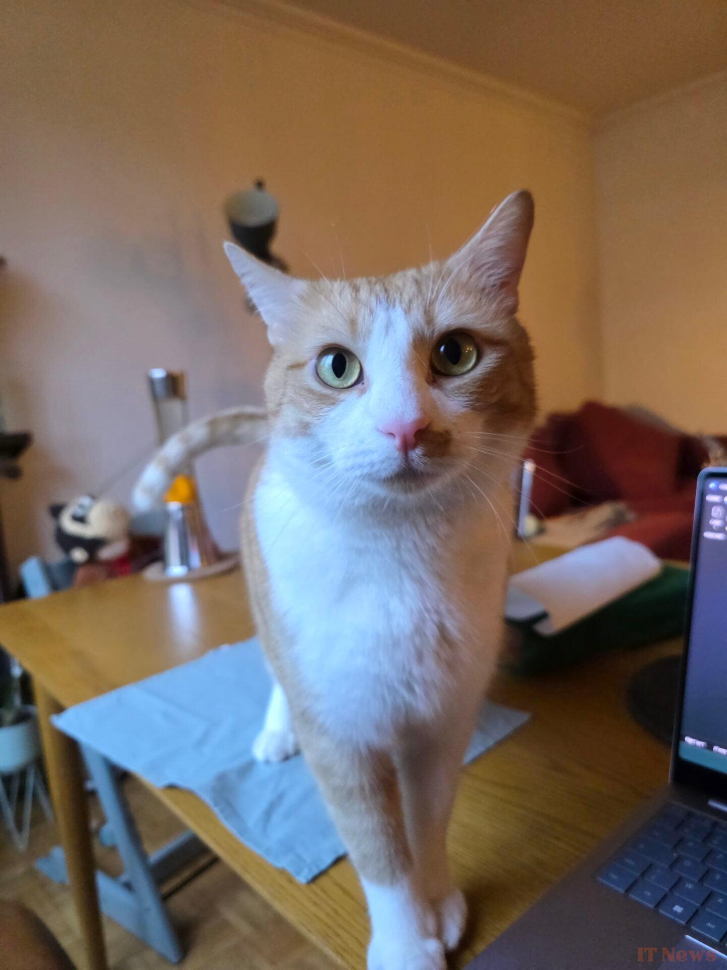 Test Samsung Galaxy S25 Ultra: The King of Smartphones falls asleep on his throne