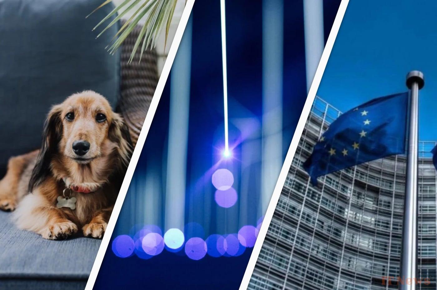 01NET Morning: 210,000 customers affected by the Cyberattaque de Chronopost, SFR cuts the cable, the AI and the animals