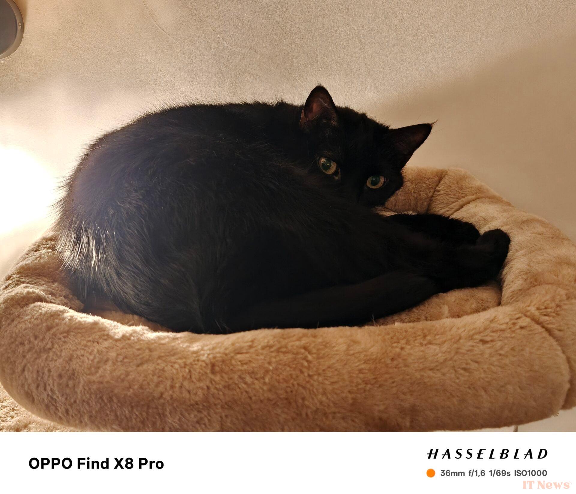 Oppo Find X8 Pro test: as good as an ultra galaxy S24, but much cheaper