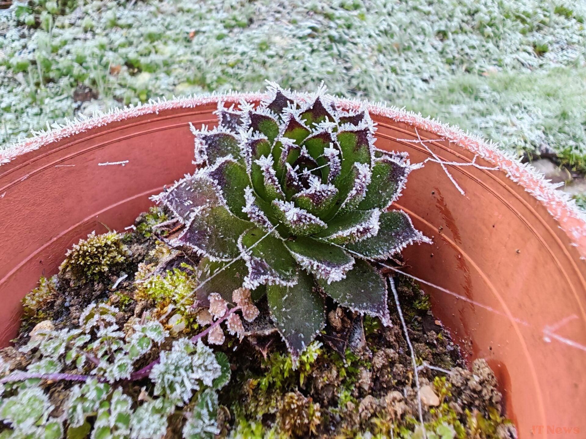 Honor Magic 7 Pro test: an excellent smartphone, for lack of surprising