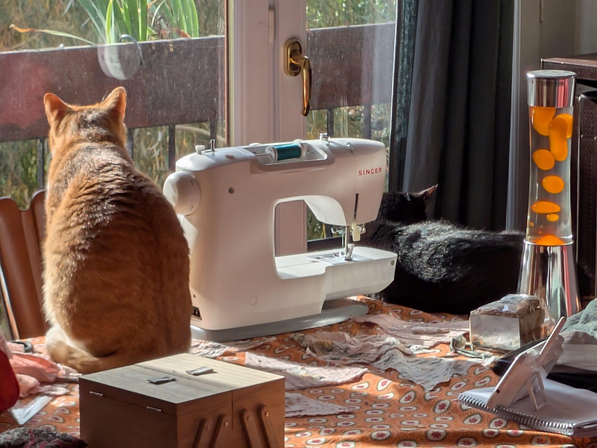 5 months with the Google Pixel 9 Pro Fold: I go back to a classic smartphone