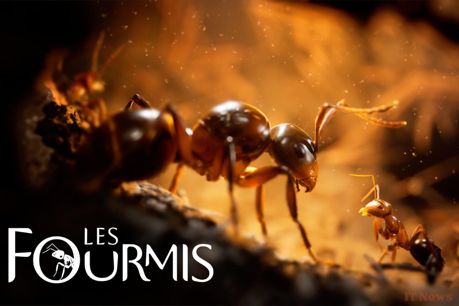 Preview Les Ants: Werber's novel deserved better