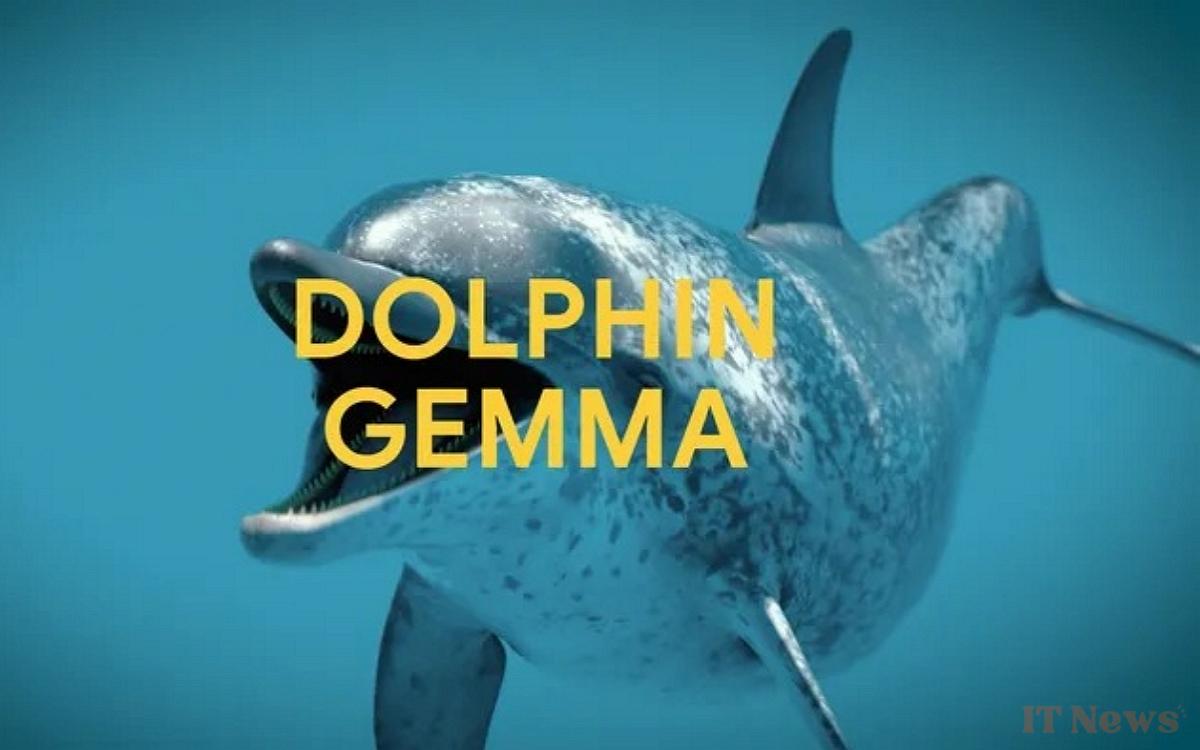 Google unveils AI that lets you talk to dolphins, video proof